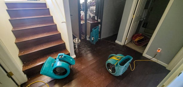 Best 24/7 water damage repair  in Keasbey, NJ