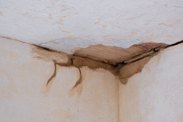 Best Water damage restoration near me  in Keasbey, NJ