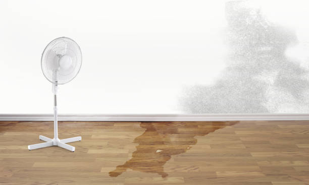 Water damage restoration experts in Keasbey, NJ