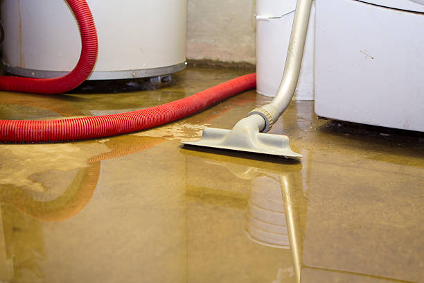 Best Water damage contractors near me  in Keasbey, NJ