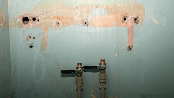 Best Water damage cleanup near me  in Keasbey, NJ