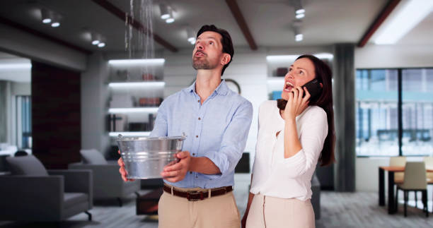 Best Ceiling water damage repair  in Keasbey, NJ