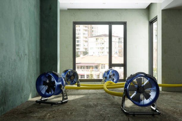 Best Ceiling water damage repair  in Keasbey, NJ